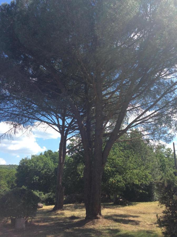 Le Jardin Du Moustoulac Chambres D'Hotes Cahors Dış mekan fotoğraf