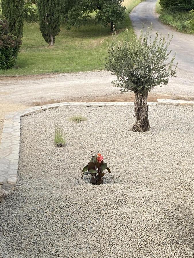 Le Jardin Du Moustoulac Chambres D'Hotes Cahors Dış mekan fotoğraf